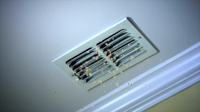 Affordable HVAC Duct Cleaning in Oak Forest, IL